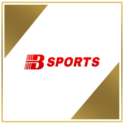 logo bsport